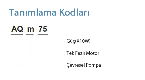 Tanımlama Kodları