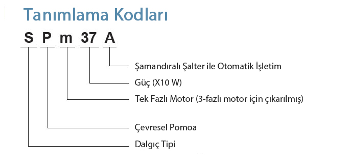 Tanımlama Kodları