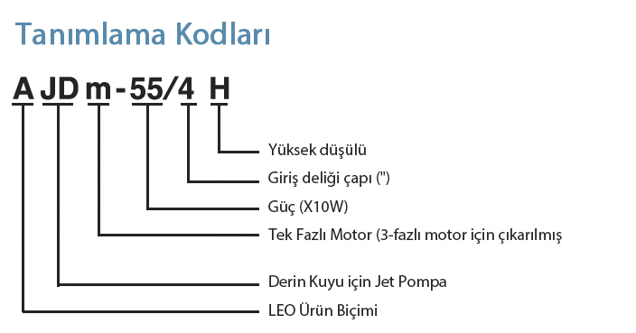 Tanımlama Kodları