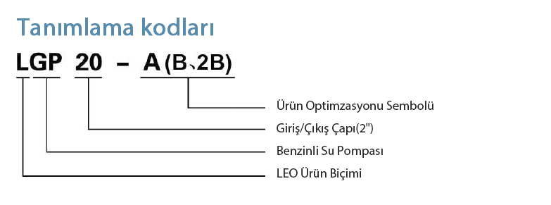 Tanımlama Kodları